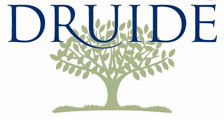 logodruide3.JPG