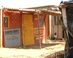 Zimbabwe � A & P 2007