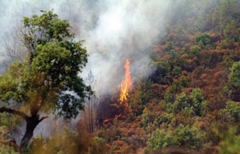 13%20pr%E9vention%20incendie%20a.jpg