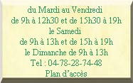 boutonlyon.jpg