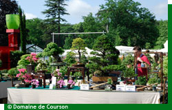 Du c�t� des exposants